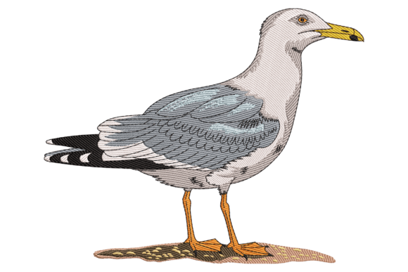 Seagull Bird Embroidery Review for Boutique Apparel